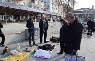 Hindi fiyatları 500 lira olunca vatandaş sorup geçiyor