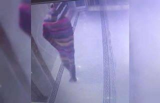 Hırsız tanınmamak için kilimi kamuflaj olarak...