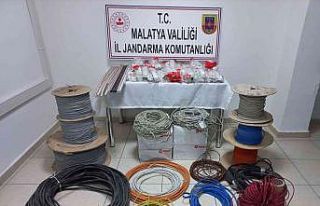 Hırsızlar kaçarken jandarmaya yakalandı