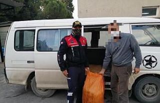 Hırsızlıktan aranan şahıslar zeytin çalarken...