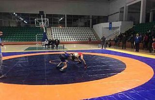 Iğdır’da güreş turnuvası heyecanı sona erdi