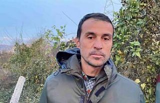 İki sürücü köpeği ezip yoluna devam etti, o...