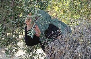 İlaç almak için eczaneye giden kadın, evde anne...