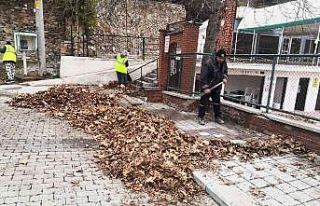 Ilıca’da kış temizliği