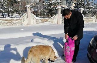 İmranlı’da sokak hayvanları için yem bırakıldı