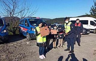 İnebolu’da jandarma ekipleri engellileri yalnız...