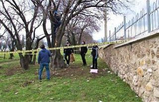 İpten alıp kalp masajıyla hayata tutundurdular