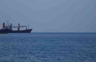İskenderun Körfezi’nde dinamit yüklü konteyner...