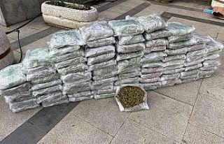 İstanbul’da uyuşturucu operasyonları