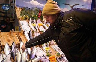 İstanbullu balıkçılar denize dönünce fiyatlar...