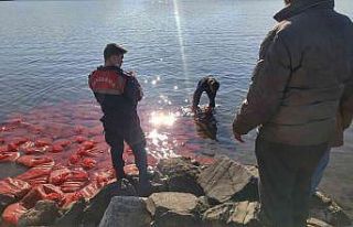İzmir’de kaçak su ürünleri avcılığı yapan...