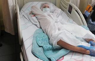 İzmir’de Pitbull dehşeti: Sahibi tasmayı bırakınca...