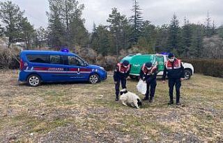 Jandarma ekiplerinden örnek davranış