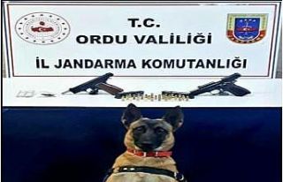 Jandarma ekiplerinden uyuşturucu operasyonu: 2 gözaltı