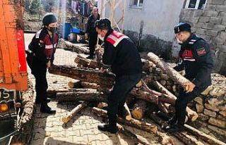 Jandarmadan ihtiyaç sahibi ailelere 10 ton odun yardımı
