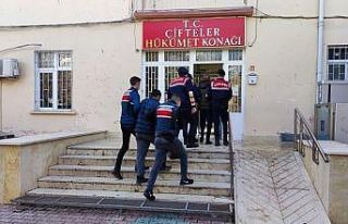 Kablo hırsızları jandarmadan kaçamadı
