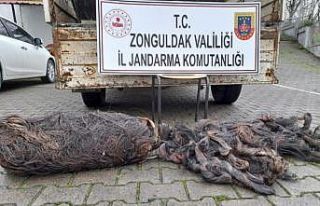 Kablo hırsızları yakalandı