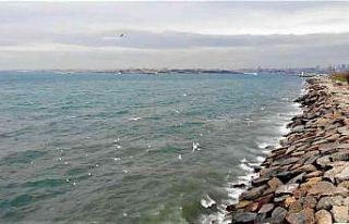 Kadıköy’de İSKİ’nin arıtma tesisinden bırakılan...
