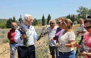 Kadın üreticilere 97 Bin 500 adet tıbbi aromatik...