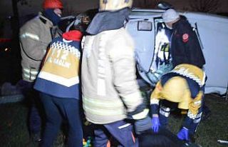 Kamyonet elektrik direğine çarptı: 1 yaralı