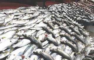 Kar çinekop getirdi