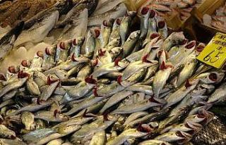 Kar yağdı, fiyatı 65 liraya geriledi