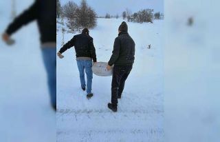 Karabük’te yaban hayvanları için yemleme çalışması...