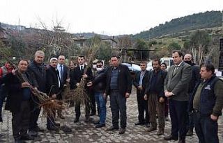 Karacasu’da yangın bölgesine milyonluk destek