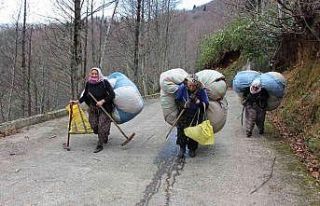 Karadeniz kadınının kuru yaprak mesaisi