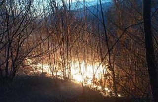 Karadeniz’de orman ve bahçe yangınlarına dikkat