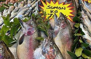 Karadeniz’in yerli somonu Norveç’e rakip