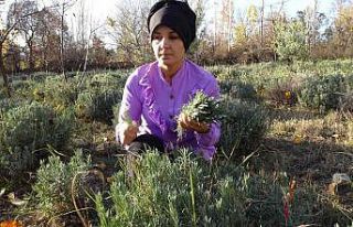 Karaman’da 8 çocuk annesi azmiyle ilçenin gururu...