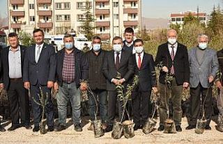 Karaman’da çiftçilere fidan dağıtıldı