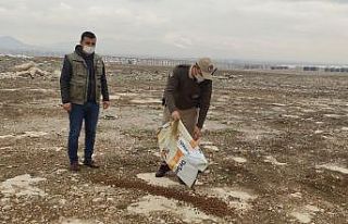 Karaman’da sokak hayvanlarına yem bırakıldı