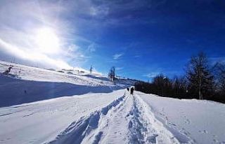 Kardüz Yaylasına yürüyerek çıktılar