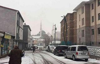 Karlıova’da kar yağışı