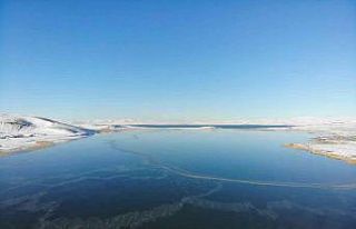 Kars eksi 20’yi gördü, Çıldır Gölü’nün...