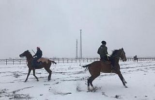 Kars’ta kar üstünde cirit gösterisi