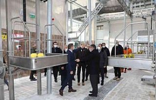 Kars’ta Modern Besi Çiftliği ve Kesimhane tamamlanıyor