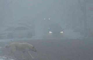 Kars’ta ulaşıma sis engeli