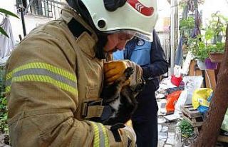 Kartal’da yanan evdeki köpek ve kediler son anda...