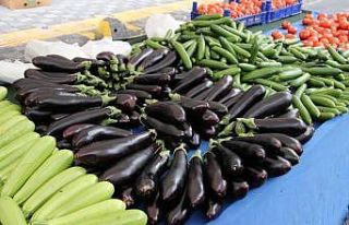 Kasım ayında en fazla patlıcan fiyatları arttı