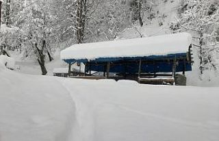 Kastamonu’da 503 köy yolu ulaşıma kapandı