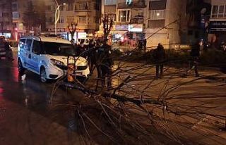 Kavga ihbarına giden polis otoları kaza yaptı:...