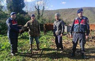 Kaybolan hayvanlar 2 gün sonra ormanda bulundu