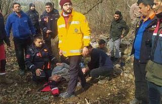 Kaybolan yaşlı adam ağaç kenarında uyurken bulundu