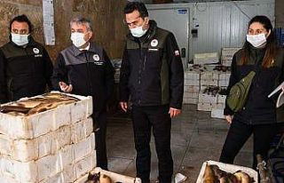 Kayseri’de 1 ton 290 kilo Siraz balığına el konuldu