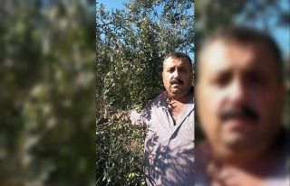 Kazada yaralanan tır şoförü hayatını kaybetti