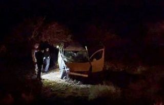 Kazada yola savrulan onlarca tavuk telef oldu