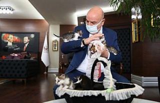 Keçiören Belediyesi’nin “Ailem Olur musun?”...